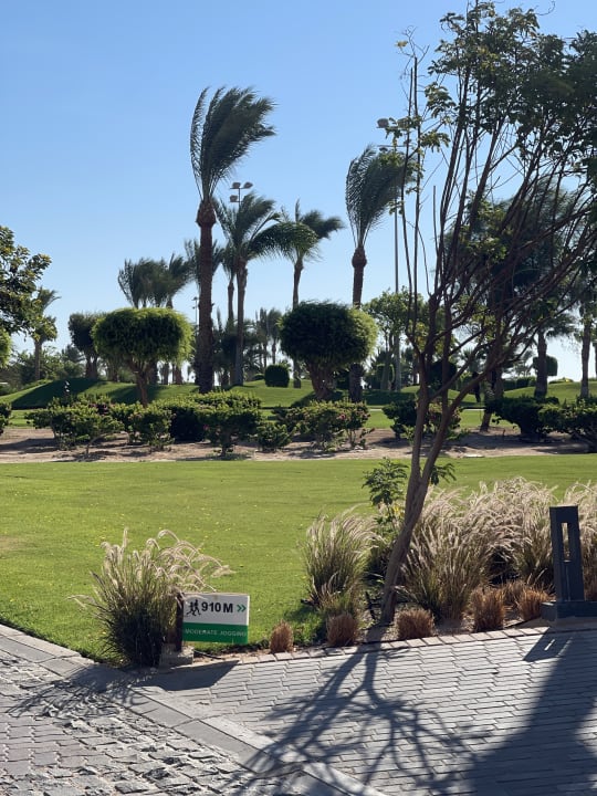 Gartenanlage Steigenberger Aqua Magic