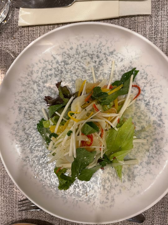 Gastro Acanthus Cennet Barut Collection