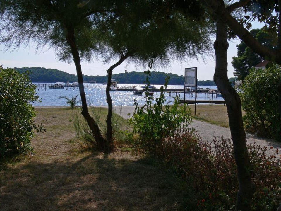 Teil der Außenanlage Pansion Tamaris