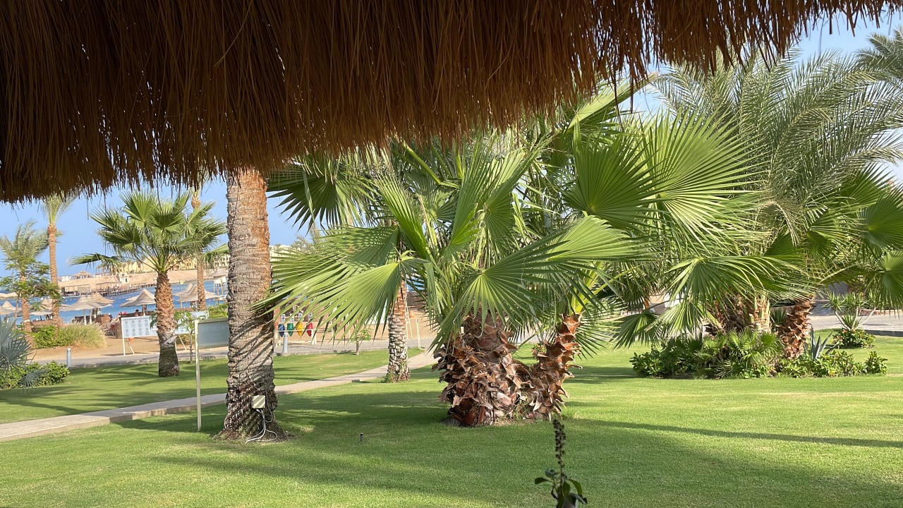 Gartenanlage Steigenberger Coraya Beach - Adults only