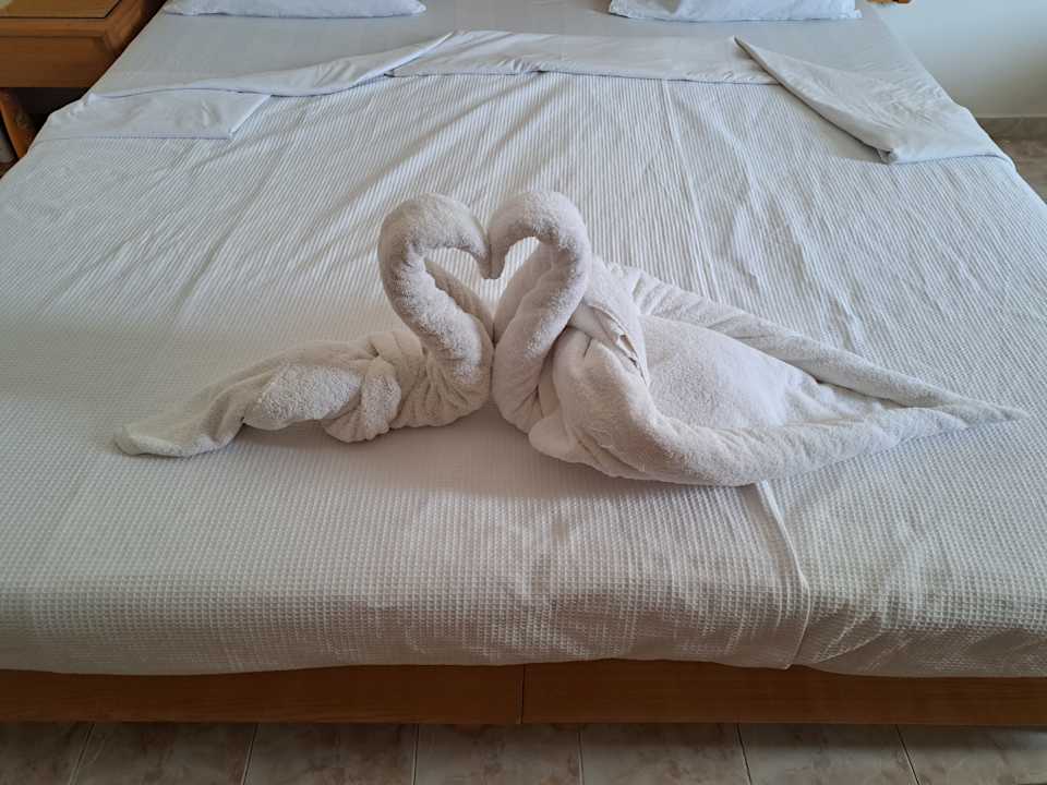 Zimmer Menaville Safaga