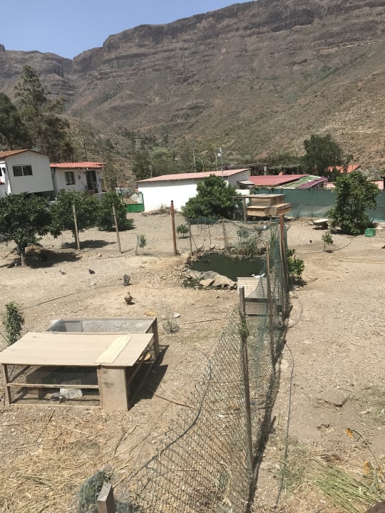 Ausblick Bio Finca - Las Tenerías