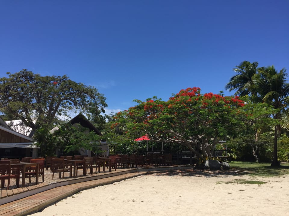 Außenansicht Hotel Musket Cove Island Resort