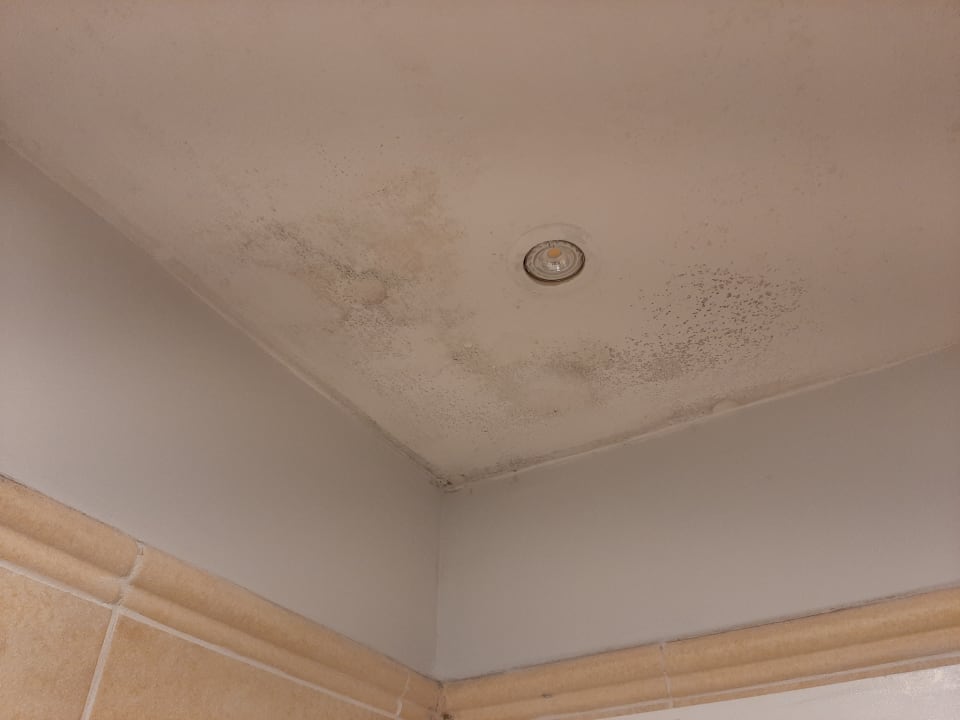 Zimmer Blau varadero - Adults only