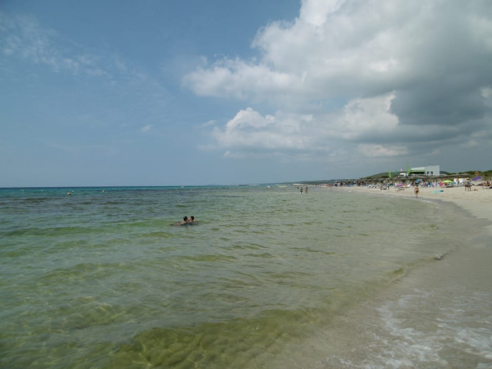 Strand Sol Milanos Pinguinos by Melia