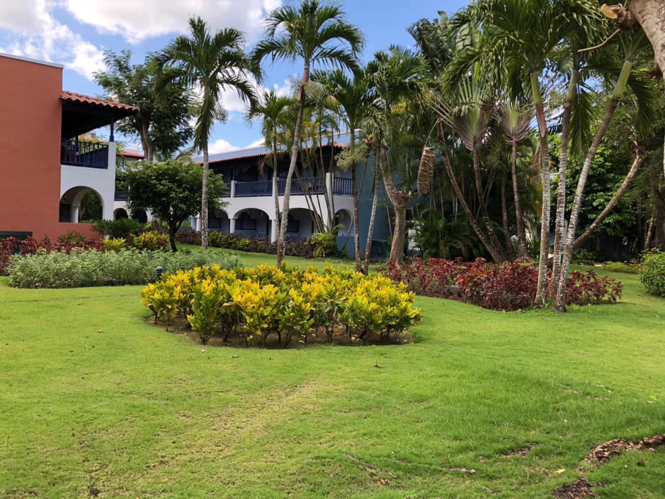 Gartenanlage Catalonia Royal La Romana - Adults only