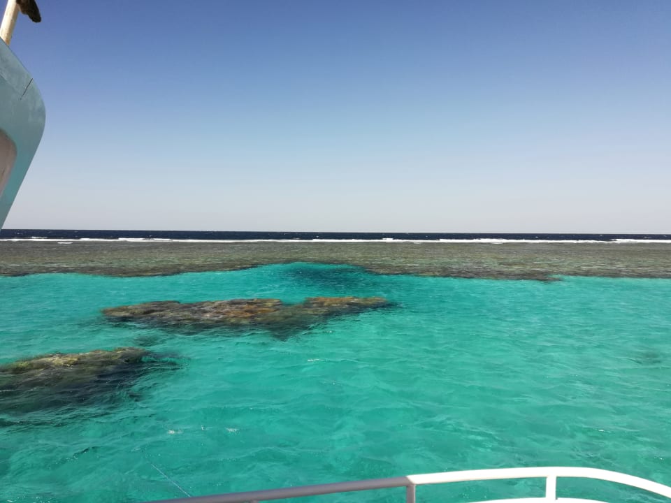 Von einem Ausflug  Three Corners Sea Beach Resort