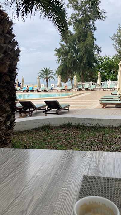 Pool Hotel Bel Azur Thalasso & Bungalows