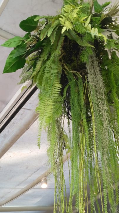 Sonstiges Moracea by Khao Lak Resort