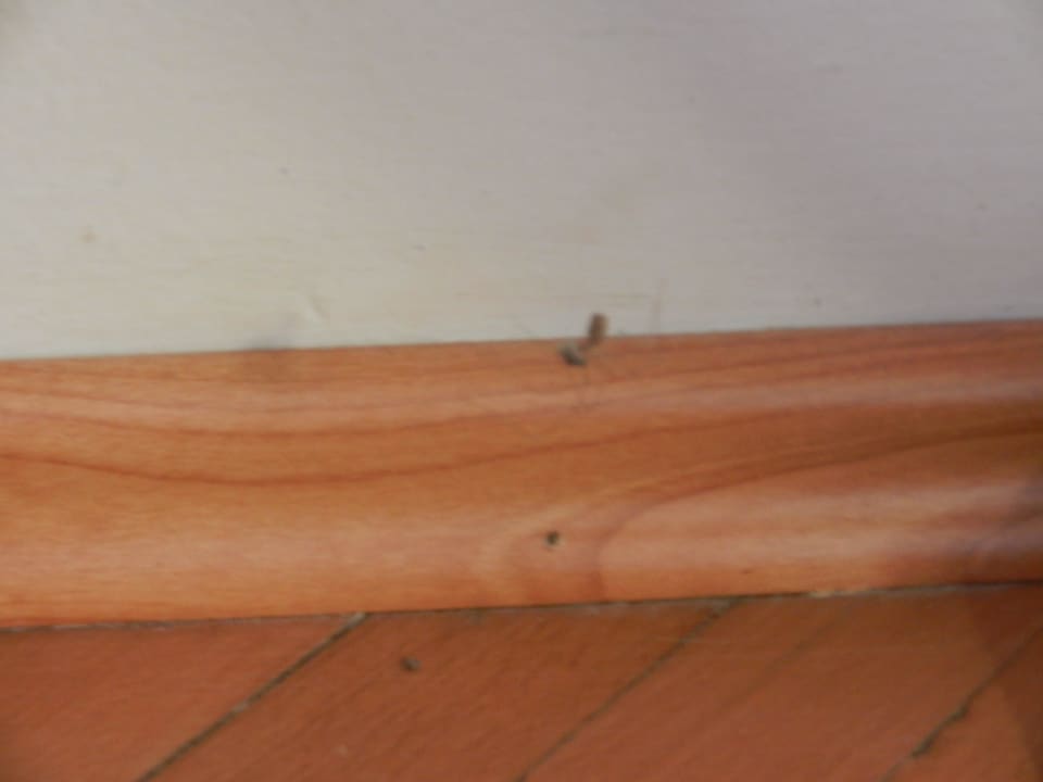 Spinne auf der Sesselleiste Villas Arbia - Rio & Magdalena