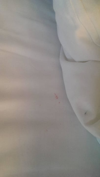 Hoffentlich war es nur Lippenstift! Best Western Plus Amedia Wien