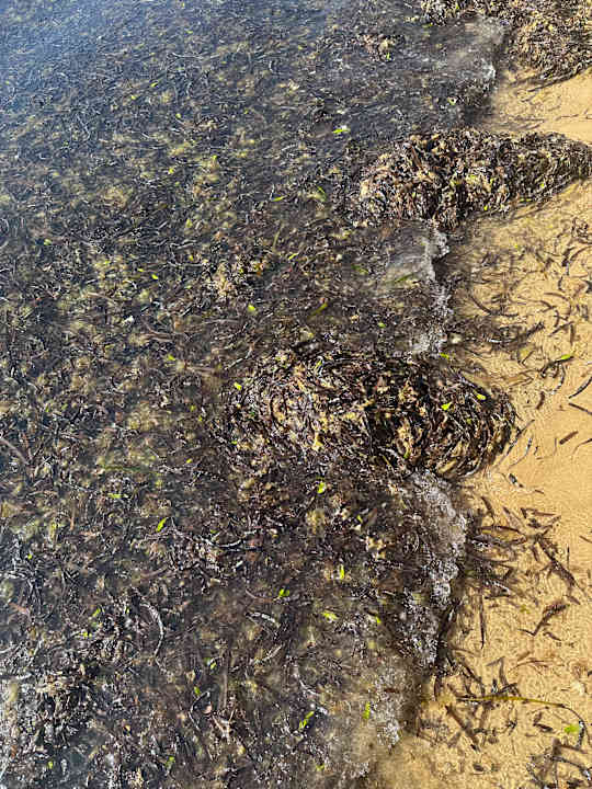 Strand Hotel Babaylon