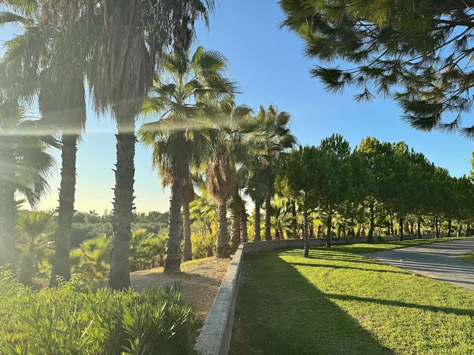 Gartenanlage Alba Resort Hotel