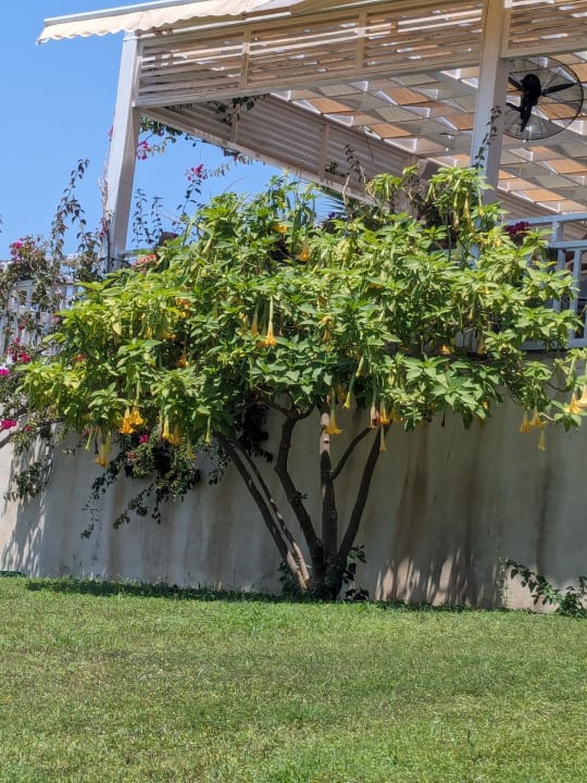 Strand Can Garden Resort
