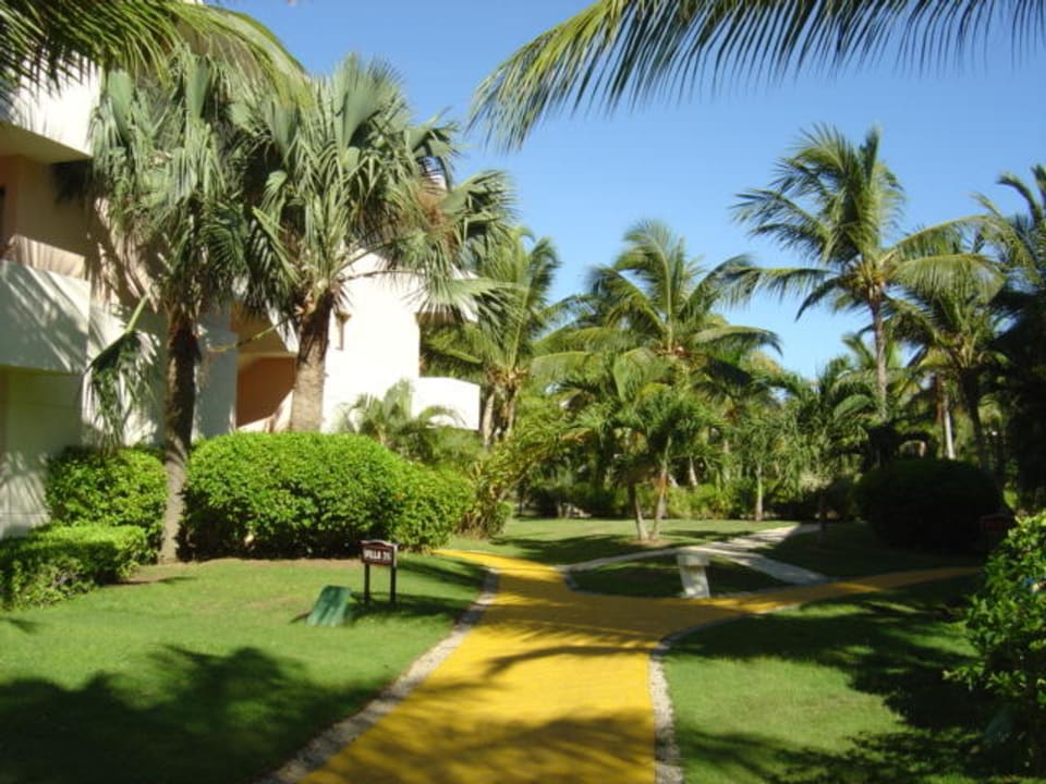 Weg zu den Zimmern Catalonia Punta Cana - All Inclusive
