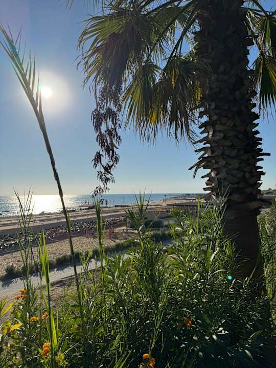 Strand Side Star Resort