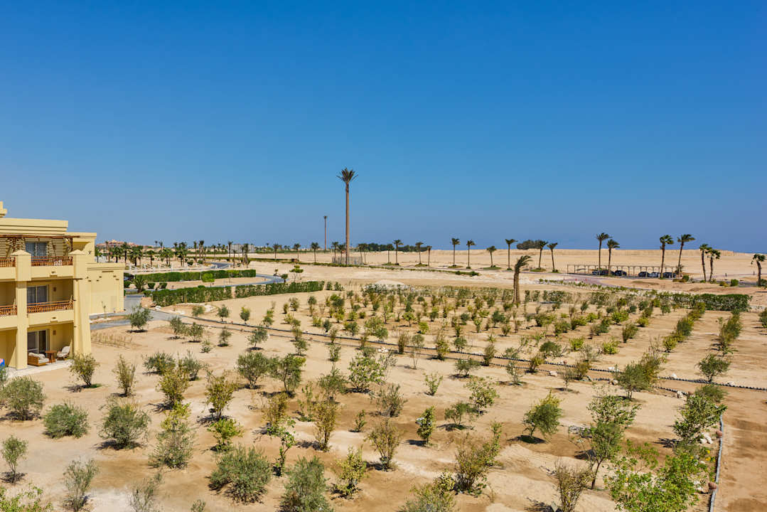 Ausblick Hotel Sheraton Soma Bay Resort