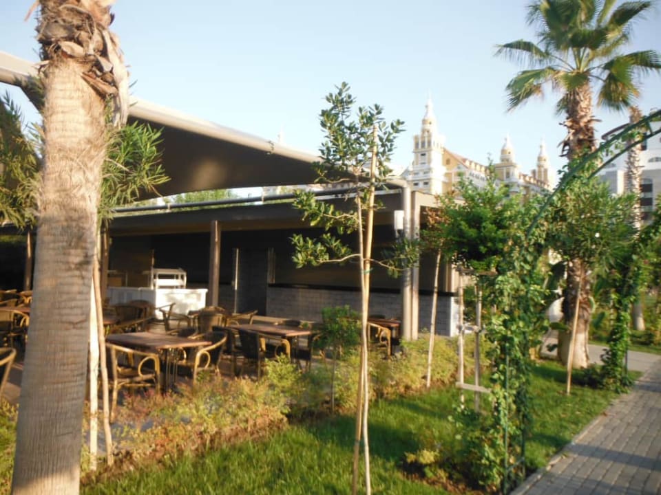 Royal Seginus Royal Seginus