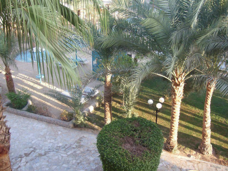 Вид с балкона на сад и дорогу к бассейну Hotel Le Pacha Beach Resort