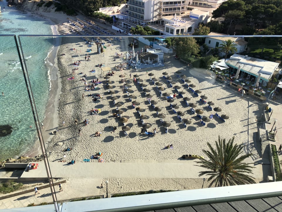 Blick aus dem Gym Son Moll Sentits Hotel & Spa