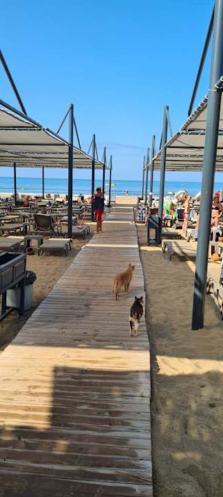 Strand Side Alegria Hotel & Spa - Adults only +16