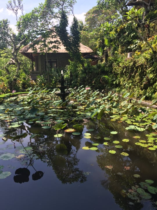 Gartenanlage Hotel Tjampuhan