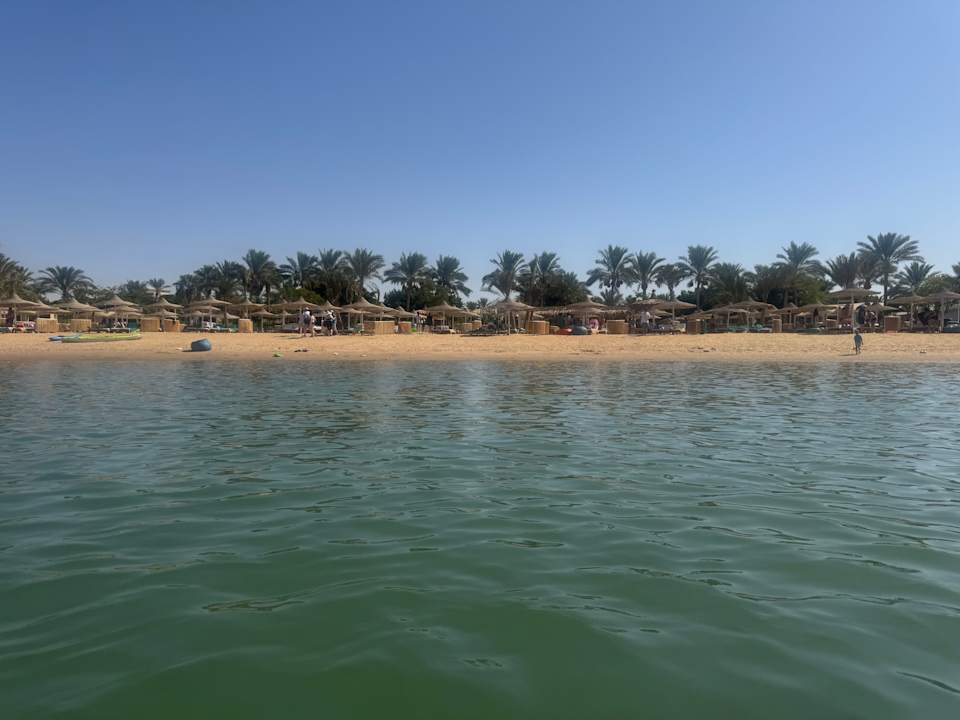 Außenansicht Desert Rose