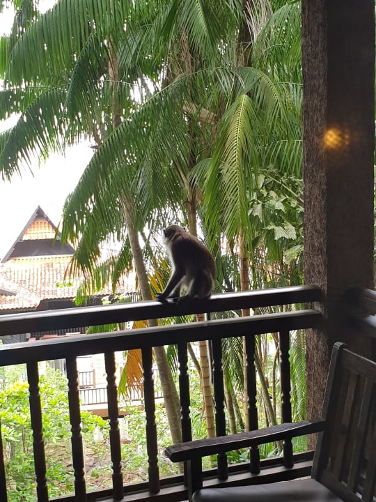 Zimmer Berjaya Langkawi Resort