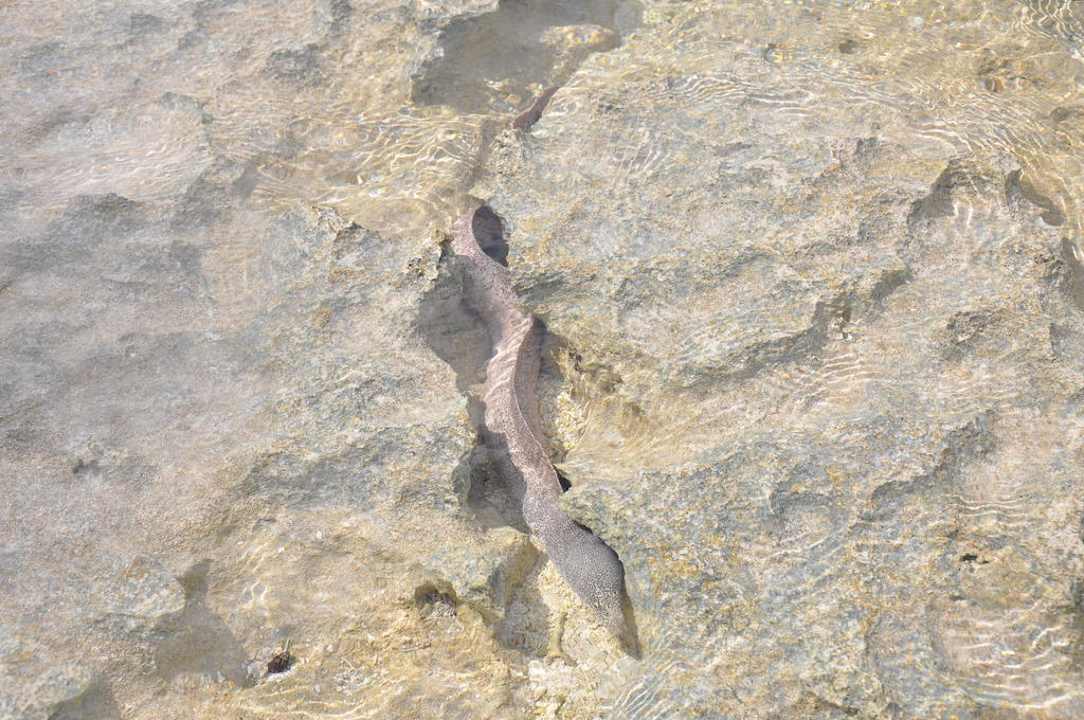 Summer Island Village Summer Island Maldives