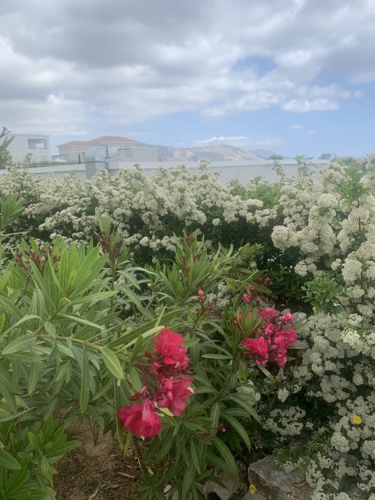 Gartenanlage Anemos Luxury Grand Resort