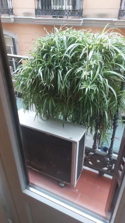 Zimmer Hostal La Zona