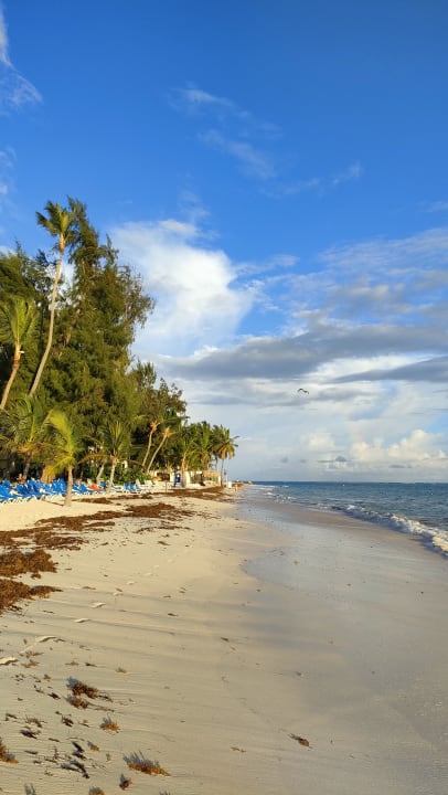 Strand Impressive Premium Punta Cana