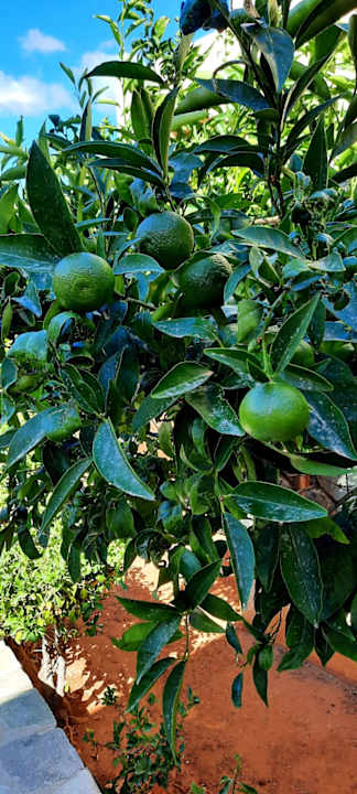 Gartenanlage Apartments Ida Village I & II