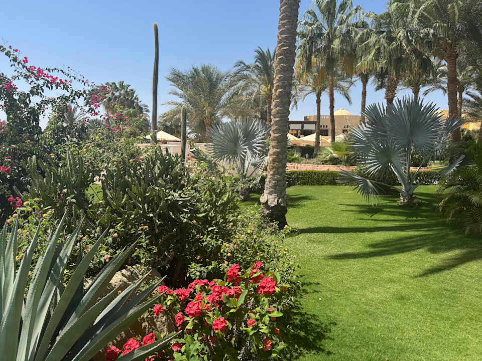 Gartenanlage Steigenberger Coraya Beach - Adults only