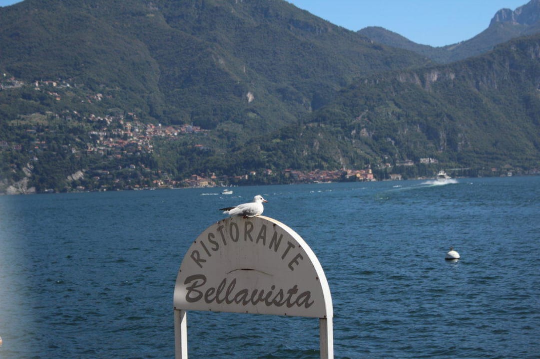Ausblick von der Restaurantterrasse  Hotel Bellavista Menaggio