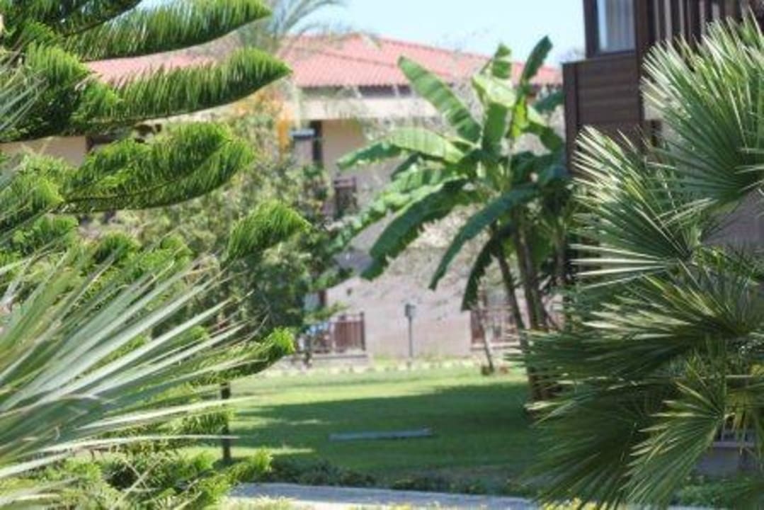 Hotel Iberotel Palm Garden TUI BLUE Palm Garden