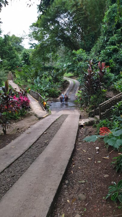 Außenansicht Hotel Chachagua Rainforest