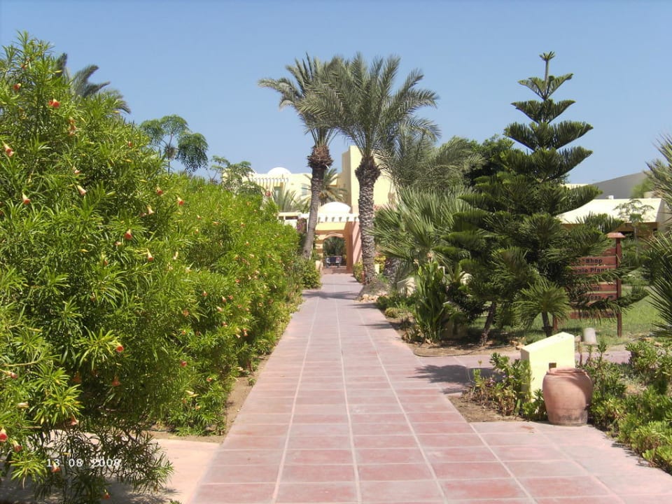 Weg Aldiana Club Djerba Atlantide