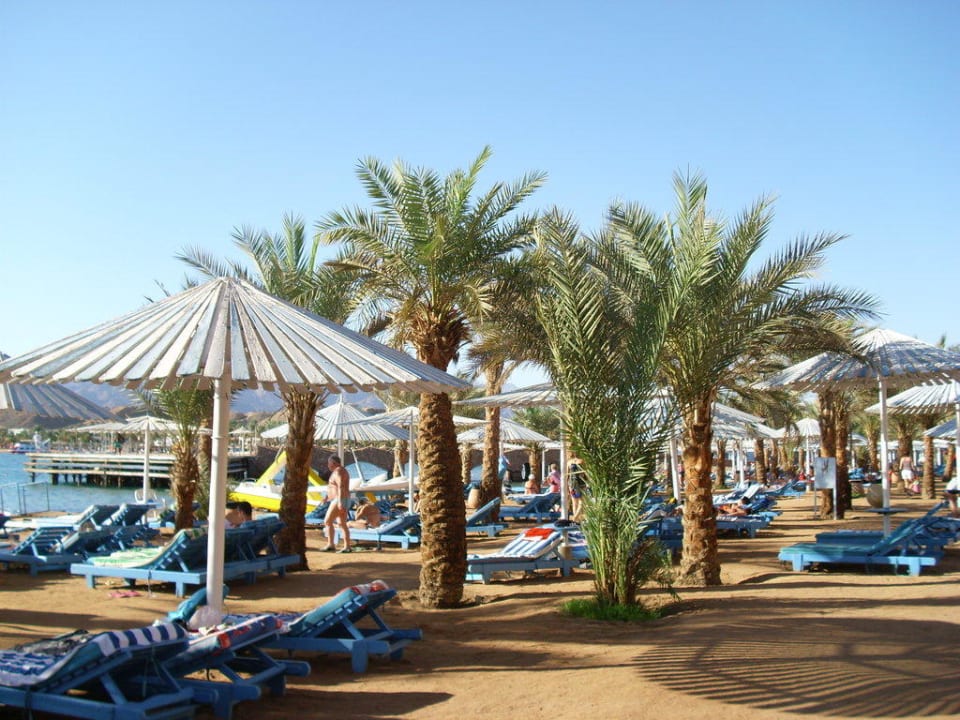 Strand Albatros Sharm Resort