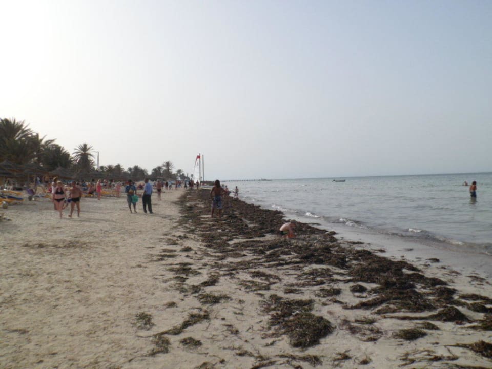 Strand vor der Reinigung Lella Meriam Hotel & Club