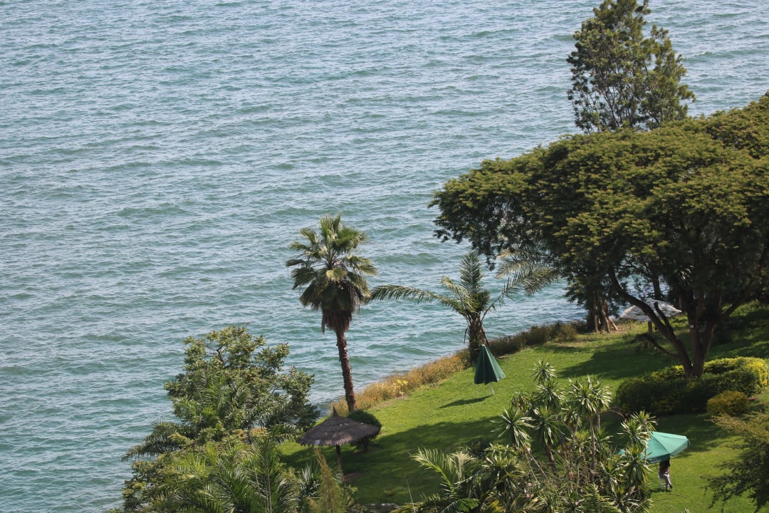 Ausblick Palm Garden Lodge