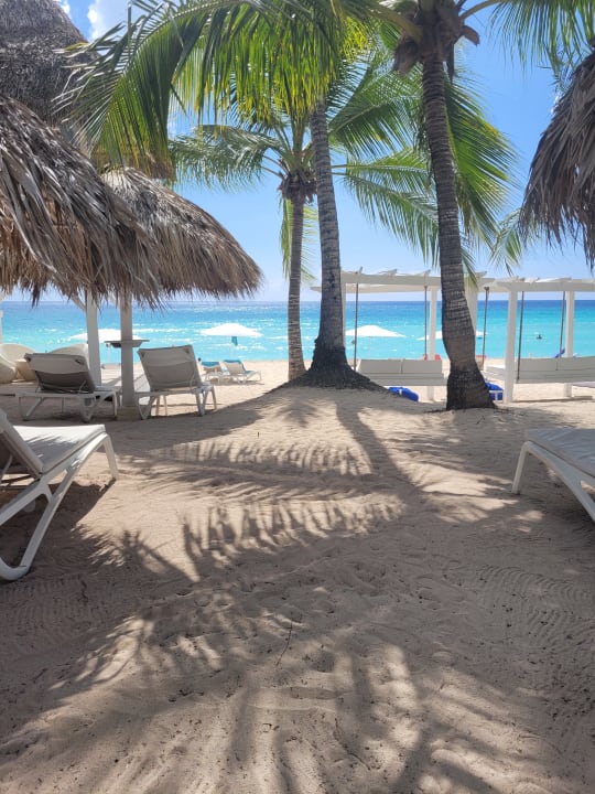 Strand Catalonia Royal La Romana - Adults only