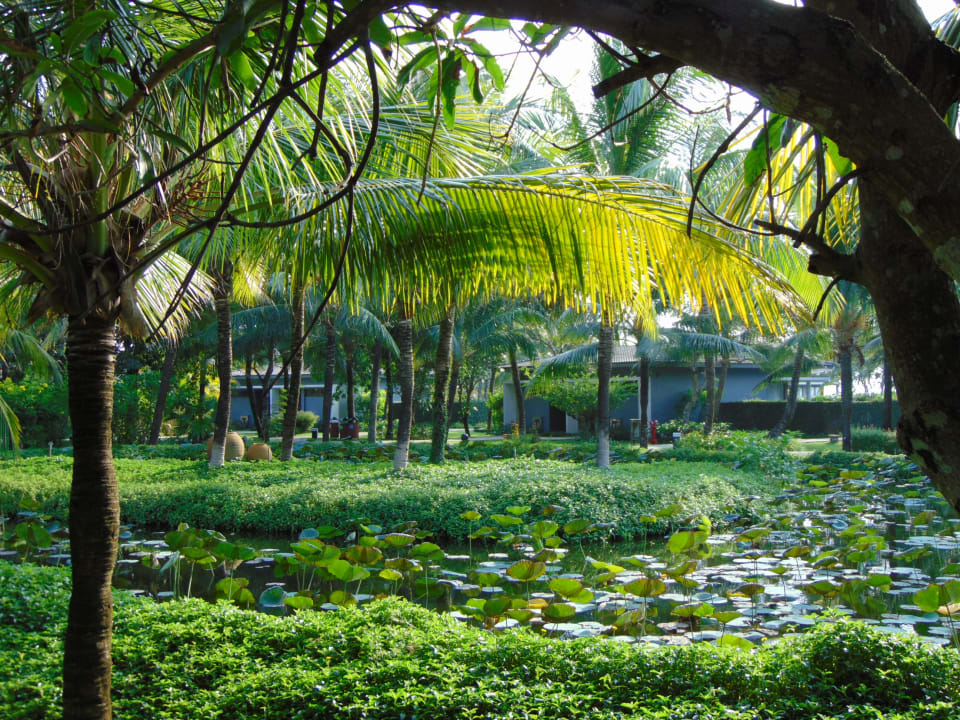 Gartenanlage Novotel Phu Quoc Resort