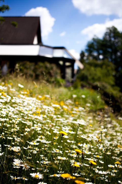 Blumen Hotel im Auerbachtal