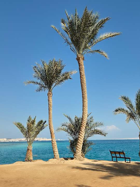 Außenansicht Continental Hotel Hurghada