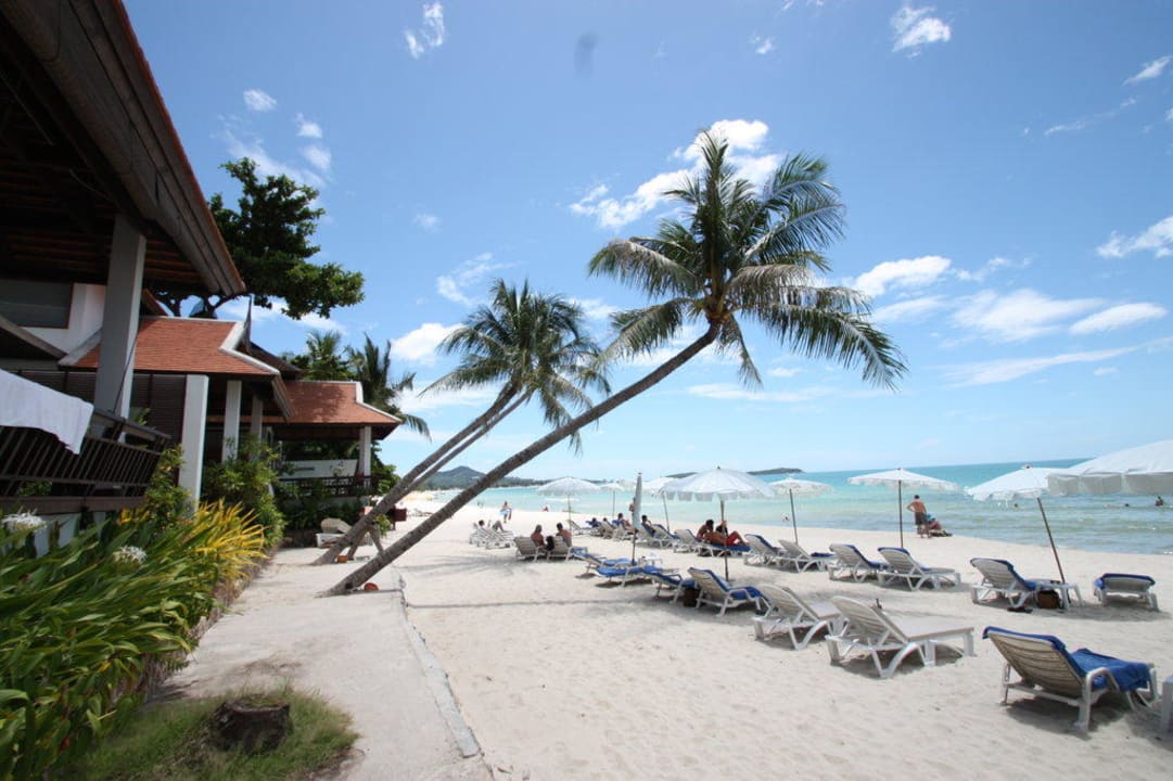 Strandliegen Samui Paradise Chaweng Beach Resort & Spa