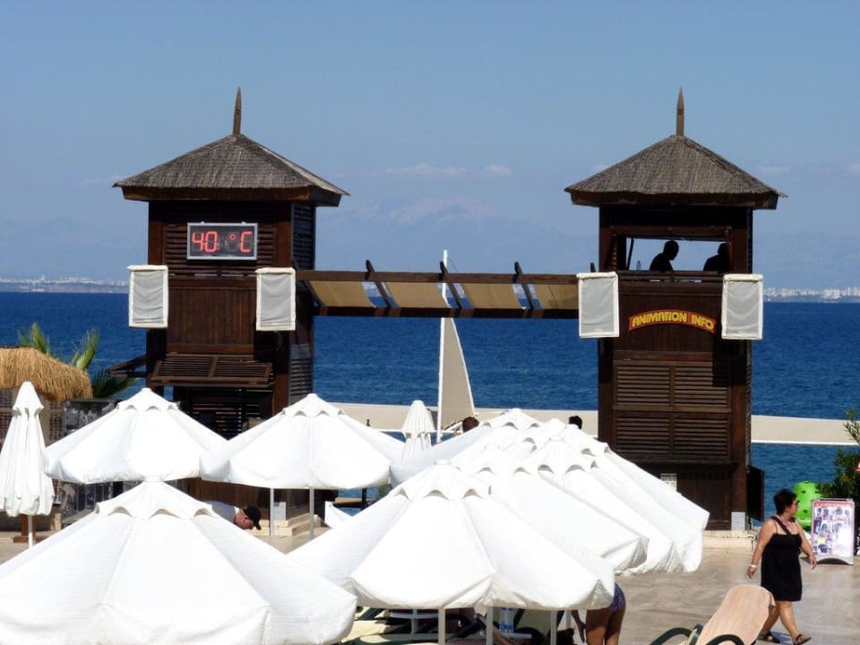 Nowy termometr  Crystal Flora Pearl Collection