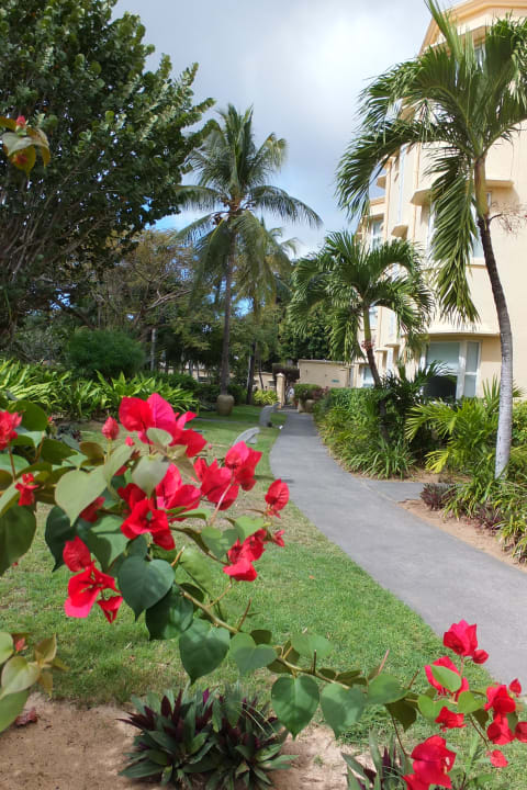 Gartenanlage Sands Suites Resort & Spa