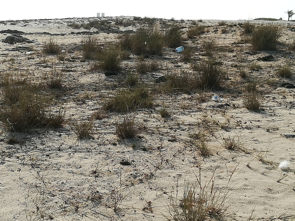 Strand Wyndham Garden Salalah Mirbat