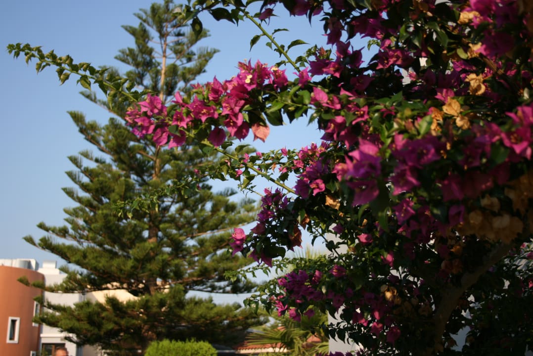 Gartenanlage Atlantica Marmari Beach